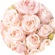 Pink Formal Dresses UK